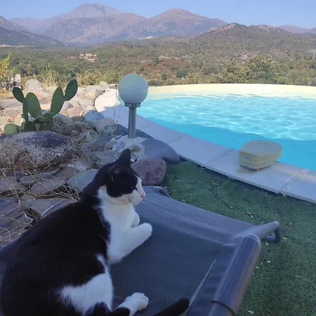 فيلة Maison 185 M2 Piscine Avec Vue